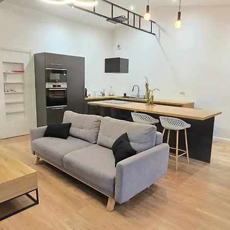 Thesecret 8 Couchages, Sanctuaires Et Gare 5mn Climatise , Salle De Sport Terasse Апартаменти Лурд