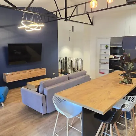 アパート Thesecret 8 Couchages, Sanctuaires Et Gare 5mn Climatise , Salle De Sport Terasse ルルド