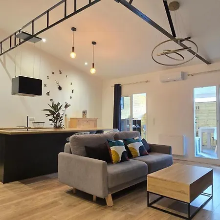 Thesecret 8 Couchages, Sanctuaires Et Gare 5mn Climatise , Salle De Sport Terasse * ルルド