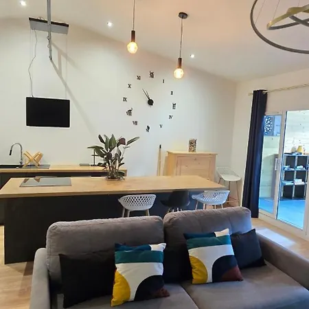 Thesecret 8 Couchages, Sanctuaires Et Gare 5mn Climatise , Salle De Sport Terasse * Lourdes