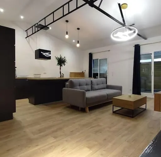 Thesecret 8 Couchages, Sanctuaires Et Gare 5Mn Climatise , Salle De Sport Terasse Лурд