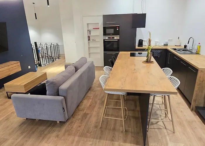 Thesecret 8 Couchages, Sanctuaires Et Gare 5mn Climatise , Salle De Sport Terasse Апартаменти Лурд