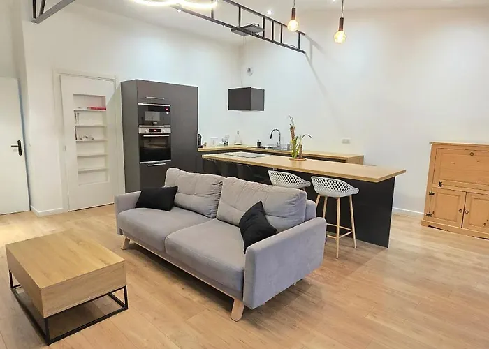 Thesecret 8 Couchages, Sanctuaires Et Gare 5mn Climatise , Salle De Sport Terasse Апартаменти Лурд