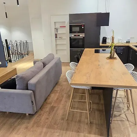 Thesecret 8 Couchages, Sanctuaires Et Gare 5Mn Climatise , Salle De Sport Terasse Apartament Lourdes